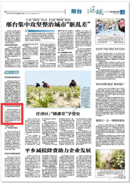 沉睡的骑士