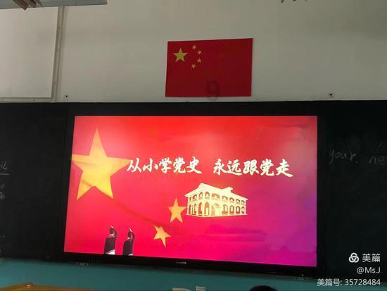 超能动物联盟